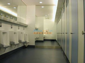 東莞衛(wèi)生間隔斷效果圖及優(yōu)惠板材選購(gòu)指南